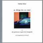 a dog in a car - oder "Die Goldenen Regeln der Fotografie"