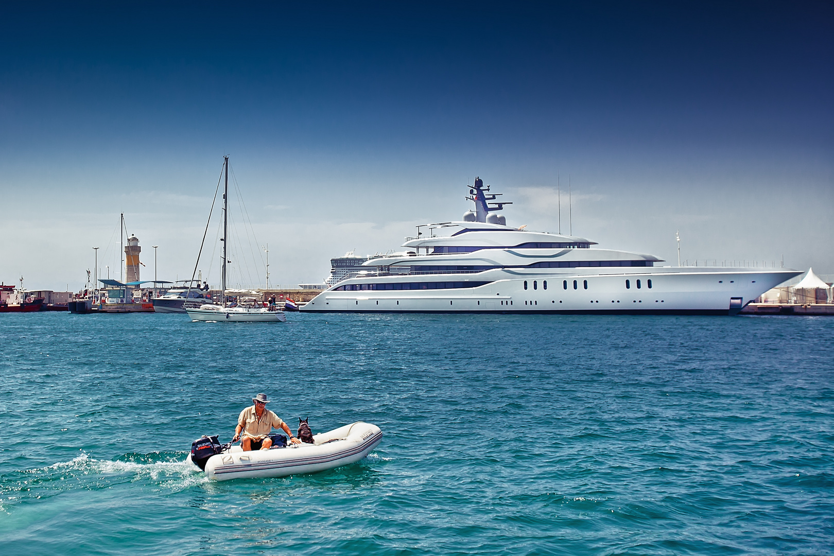  A dog looking at a superyacht in Cannes