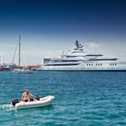  A dog looking at a superyacht in Cannes