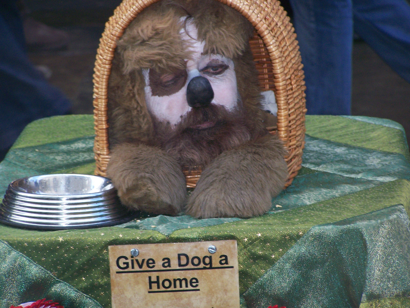 A dog's life in Covent Garden