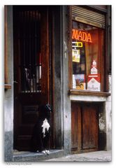 A Doorway in Ghent...