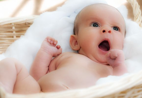 a dream come true...