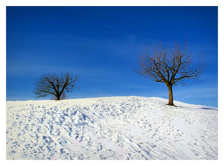 A dream in blue/white