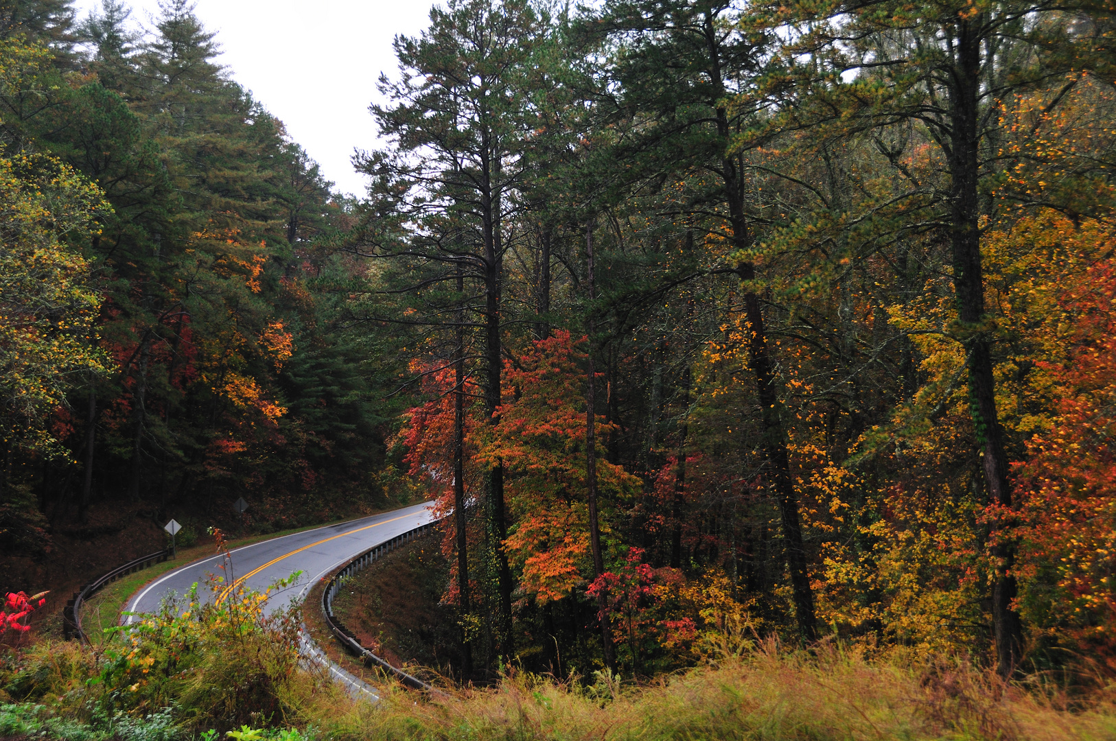 A Drive Through the Hills.