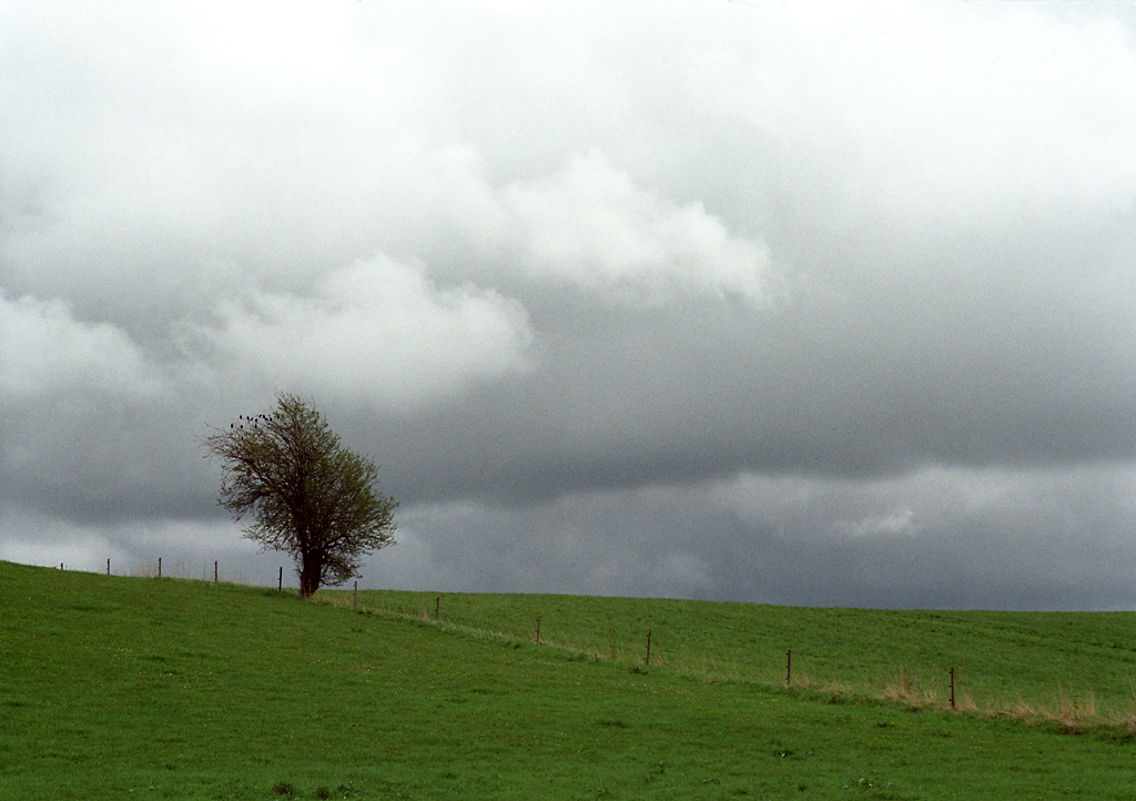 A drizzly summer day (2/3)