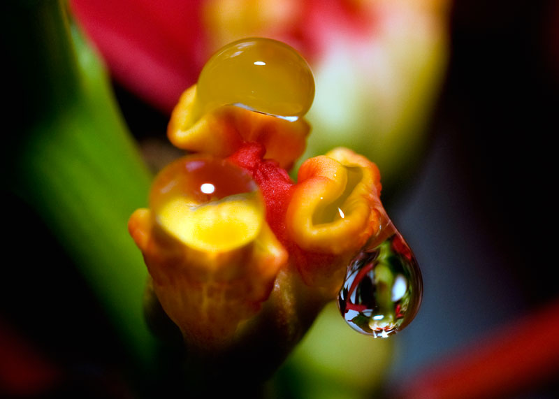 A drop