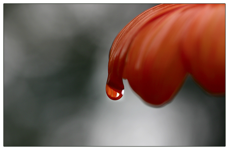 a drop falling down