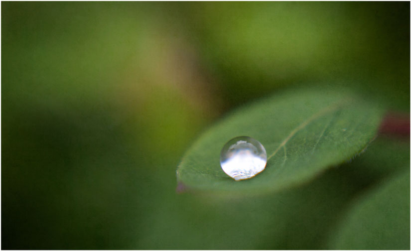 [ a drop of rain ]