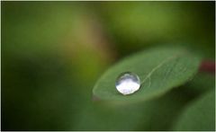 [ a drop of rain ]