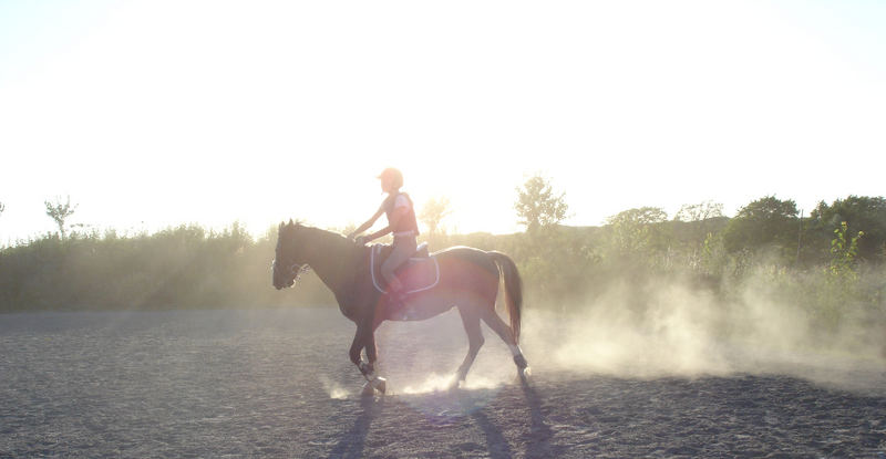 A dust of sunset