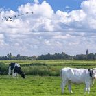 A Dutch Landscape 