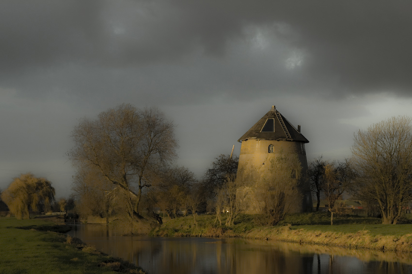 A Dutch landscape in de evening sun.