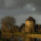 A Dutch landscape in de evening sun.