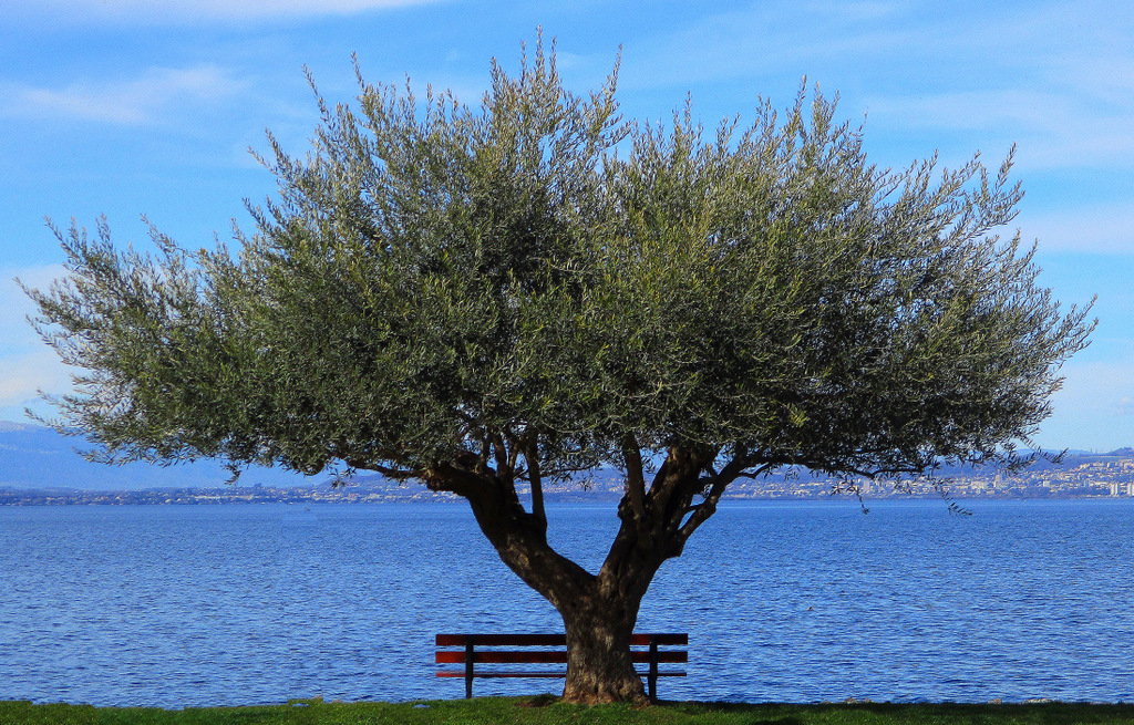 A Evian...vue sur Lausanne