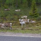 A éviter sur la route