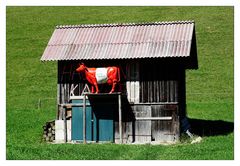 a faire Milch