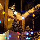 A fake giraffe on balcony @GUANGZHOU