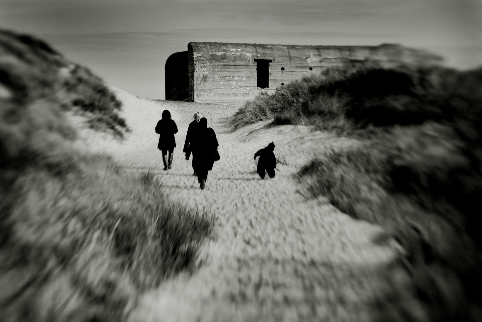 a family day at the beach