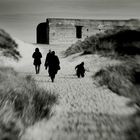 a family day at the beach