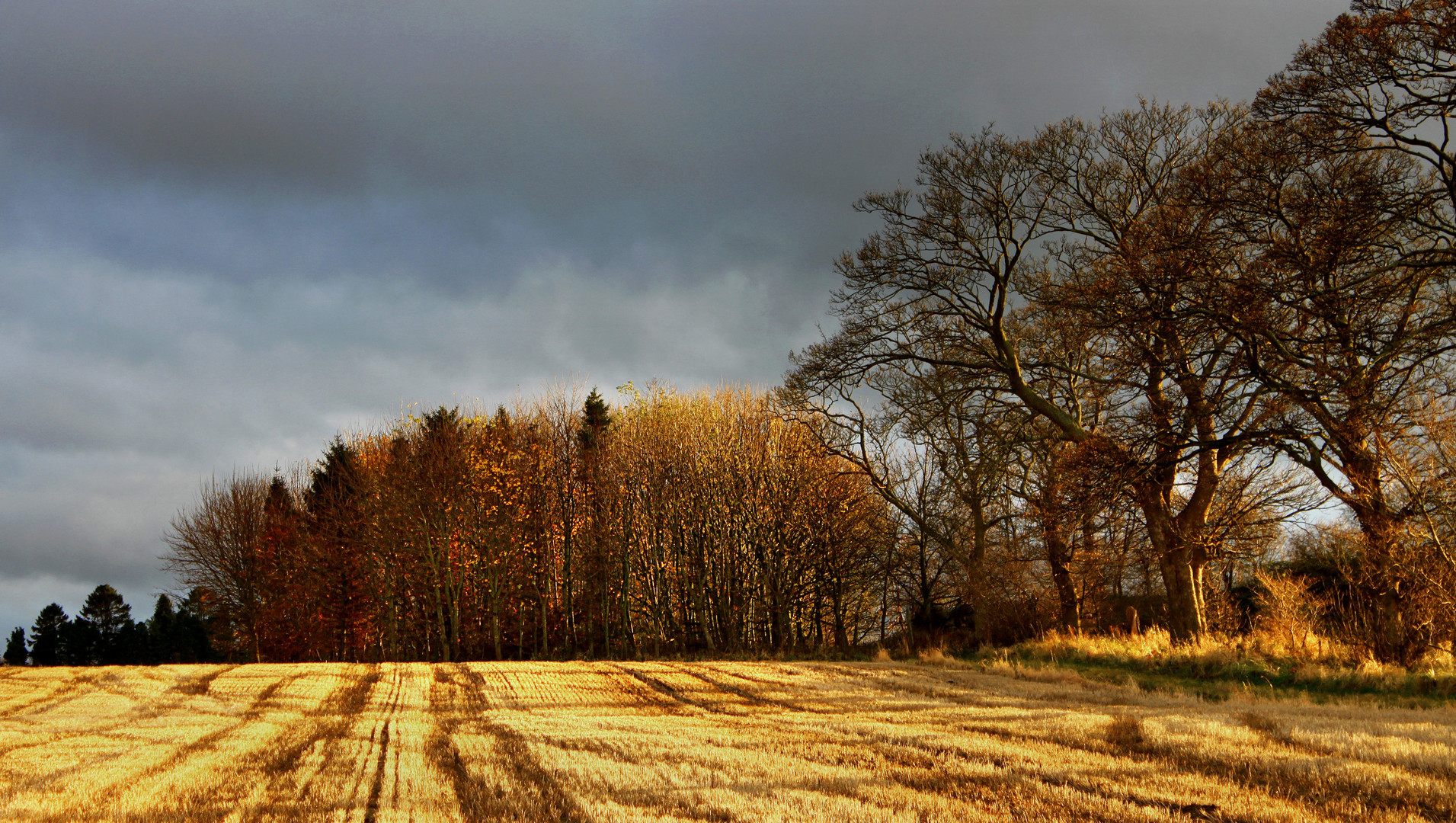 A feeling of winter