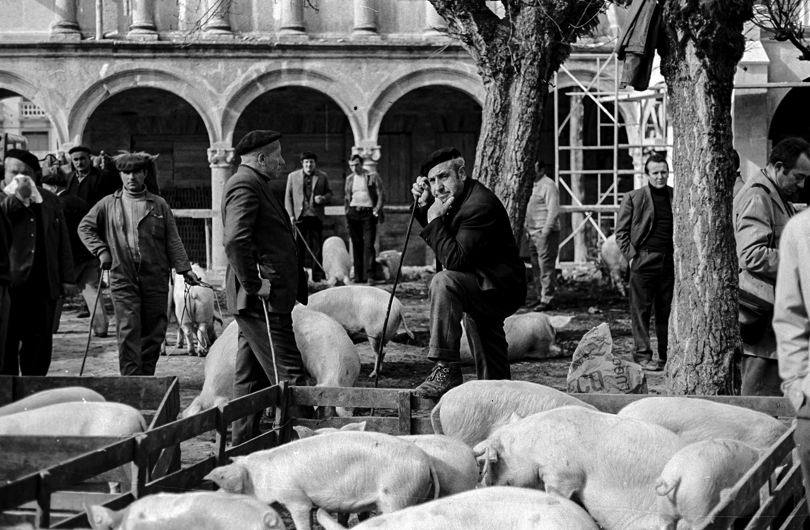 A FEIRA DOS COCHOS.