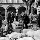 A FEIRA DOS COCHOS.