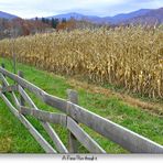 A Fence Runs Through It.