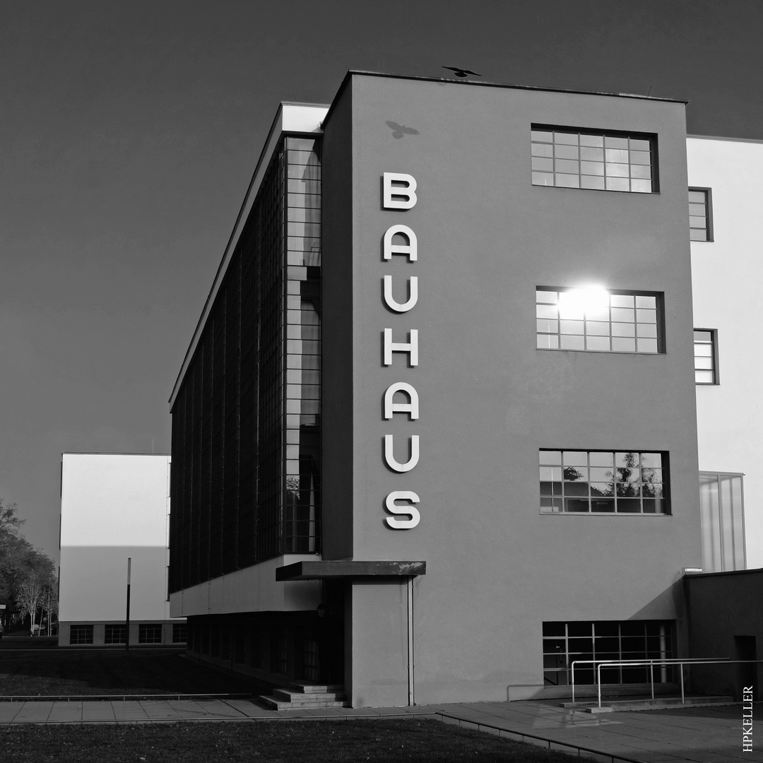 A few days ago, Bauhaus-Foundation, Dessau.