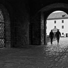 A few days ago, ...Fortress Marienberg VI, Wuerzburg.