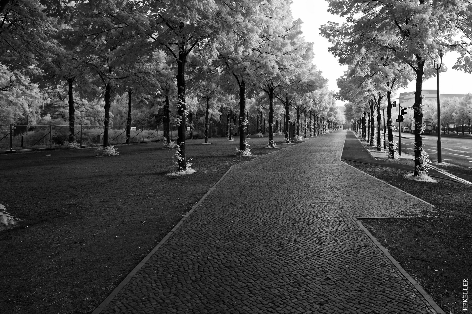 A few days ago in Berlin, ...early in the morning on the way to Brandenburger Tor.