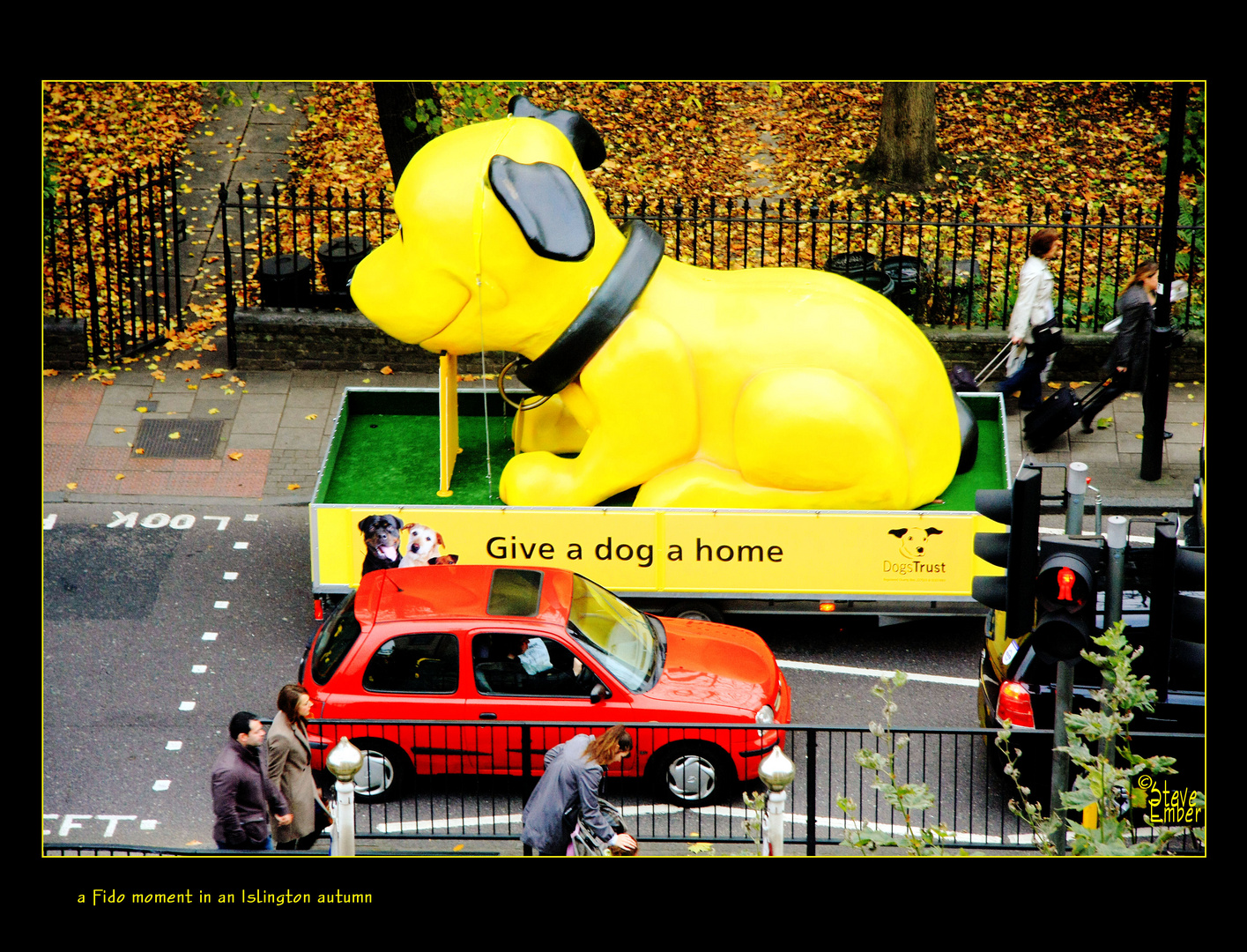 a Fido moment in an Islington autumn