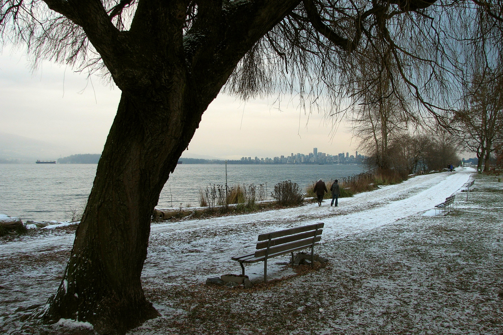 A fine Dusting of Snow (1)