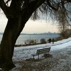 A fine Dusting of Snow (1)