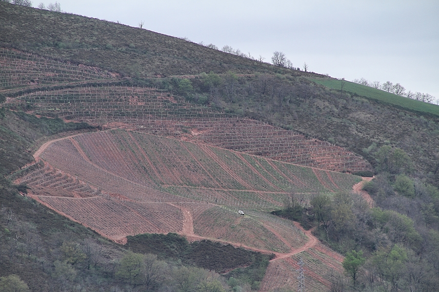 A flanc de colline !