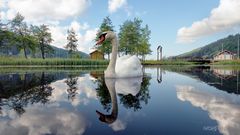 A fleur d'eau.........