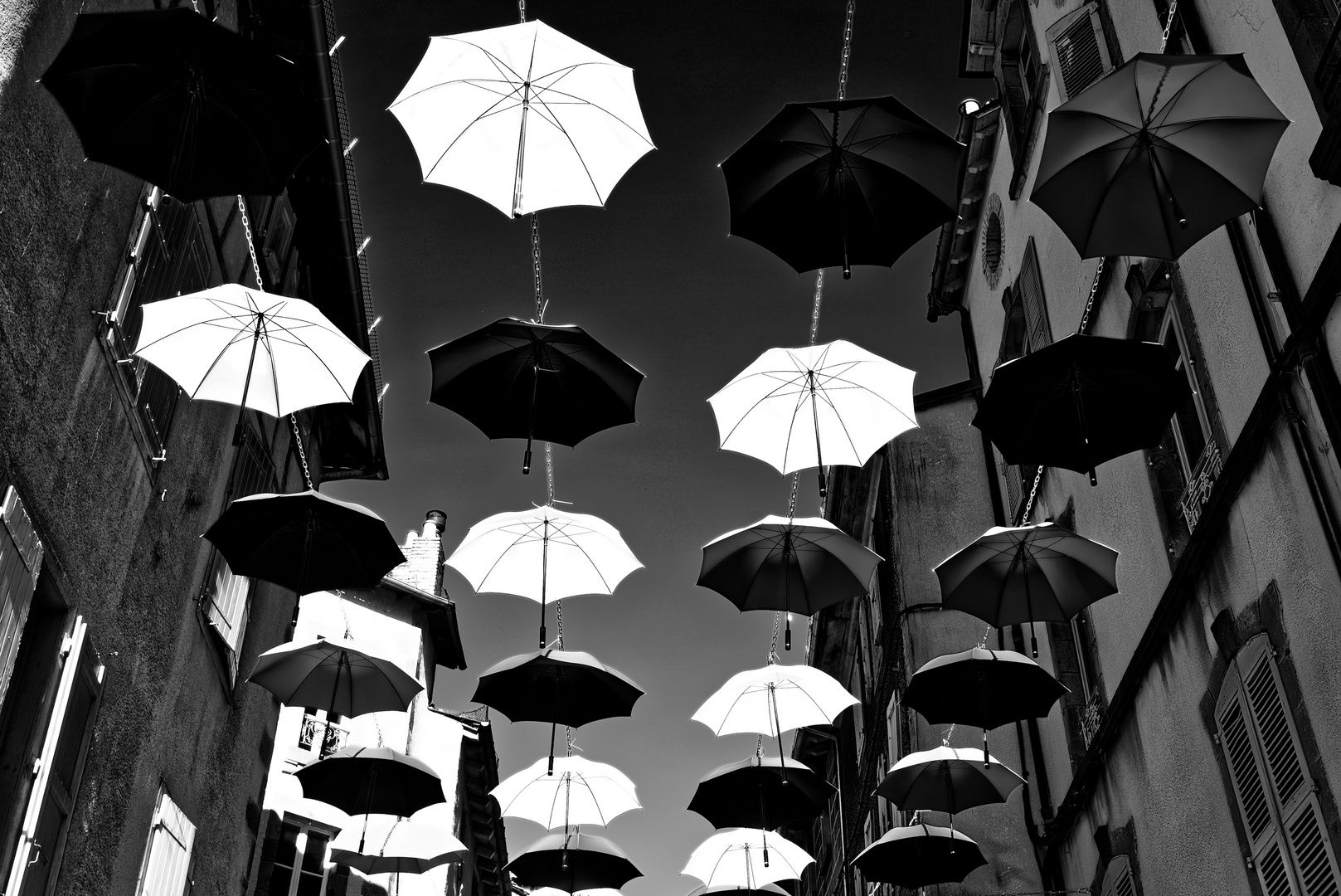 "a flock of umbrellas"