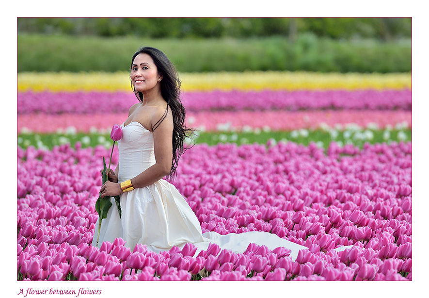 A flower between flowers