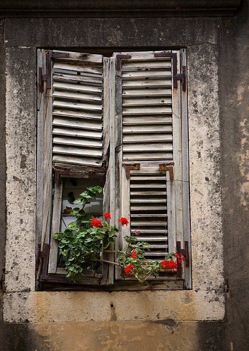 a flower will always be a flower, even though sometimes it has to come out of mud...