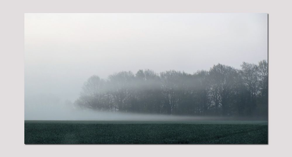 a foggy day  -1-