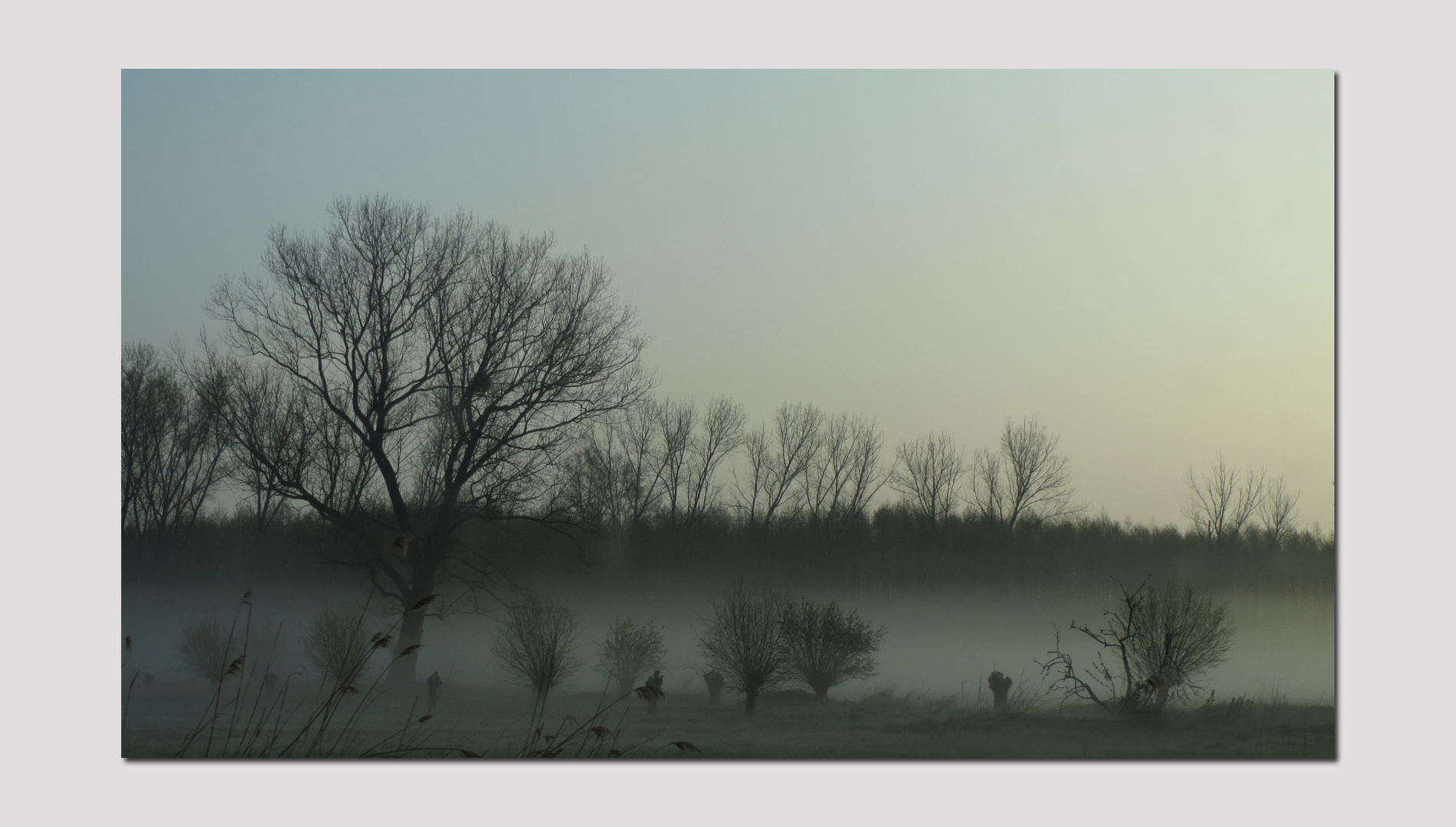 a foggy day -2--