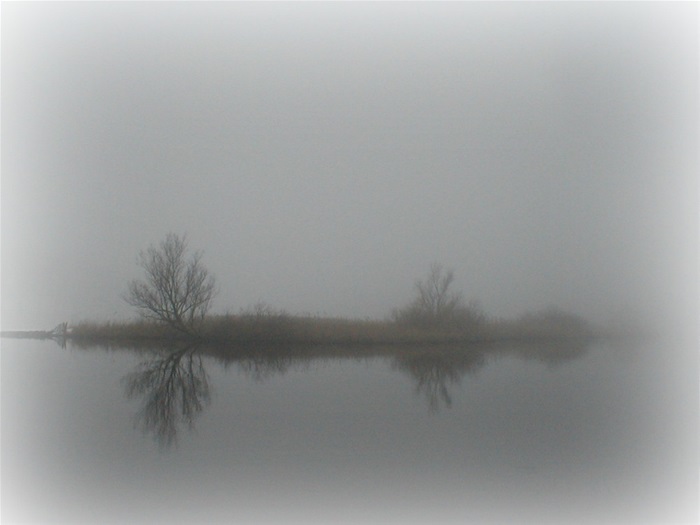 A foggy day