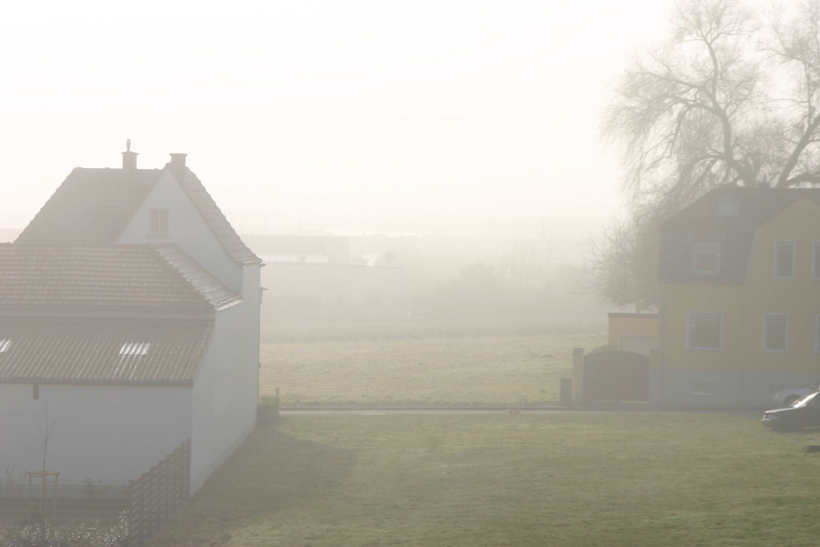 a foggy day in Oedekoven