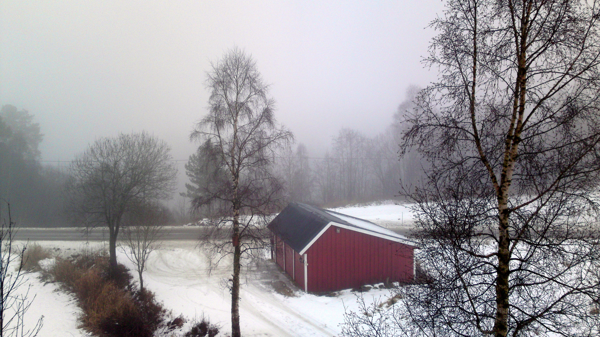 A foggy December Day