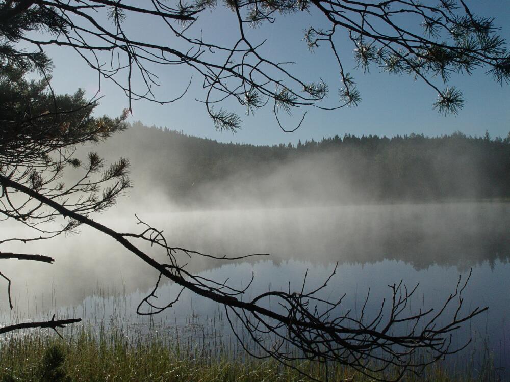 A foggy morning