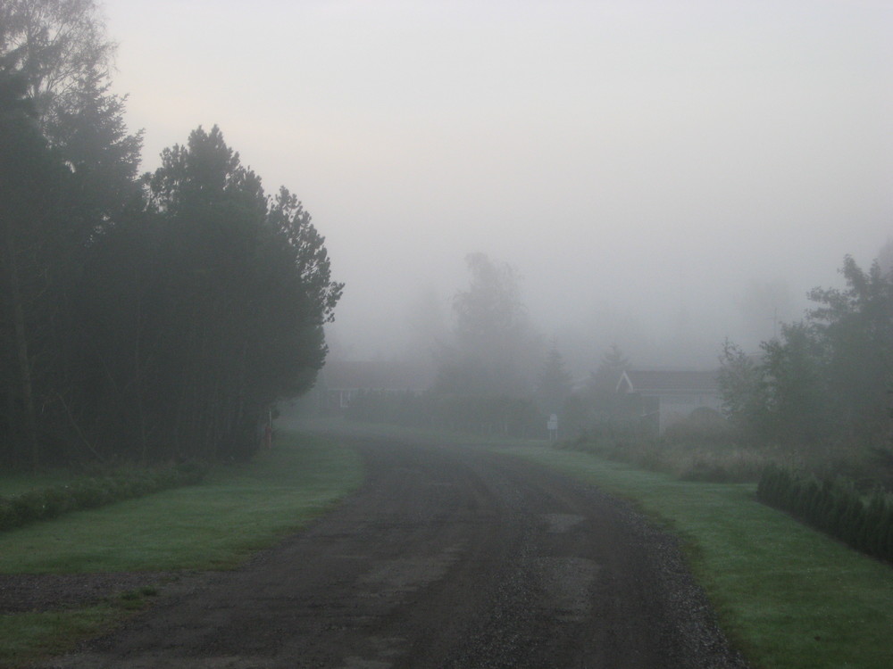 A foggy morning in Danmark II