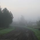 A foggy morning in Danmark II