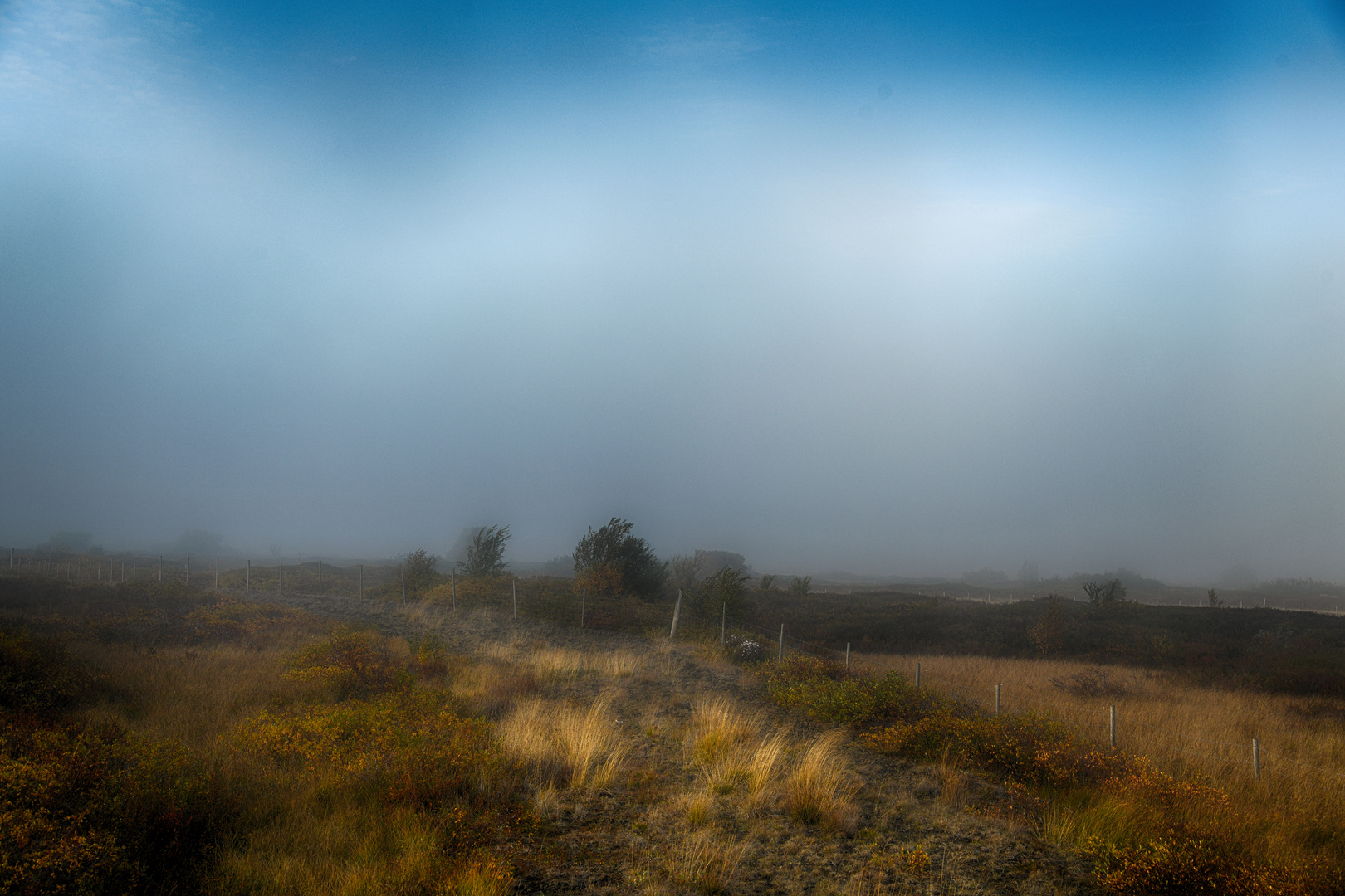 a foggy morning in iceland