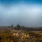 a foggy morning in iceland