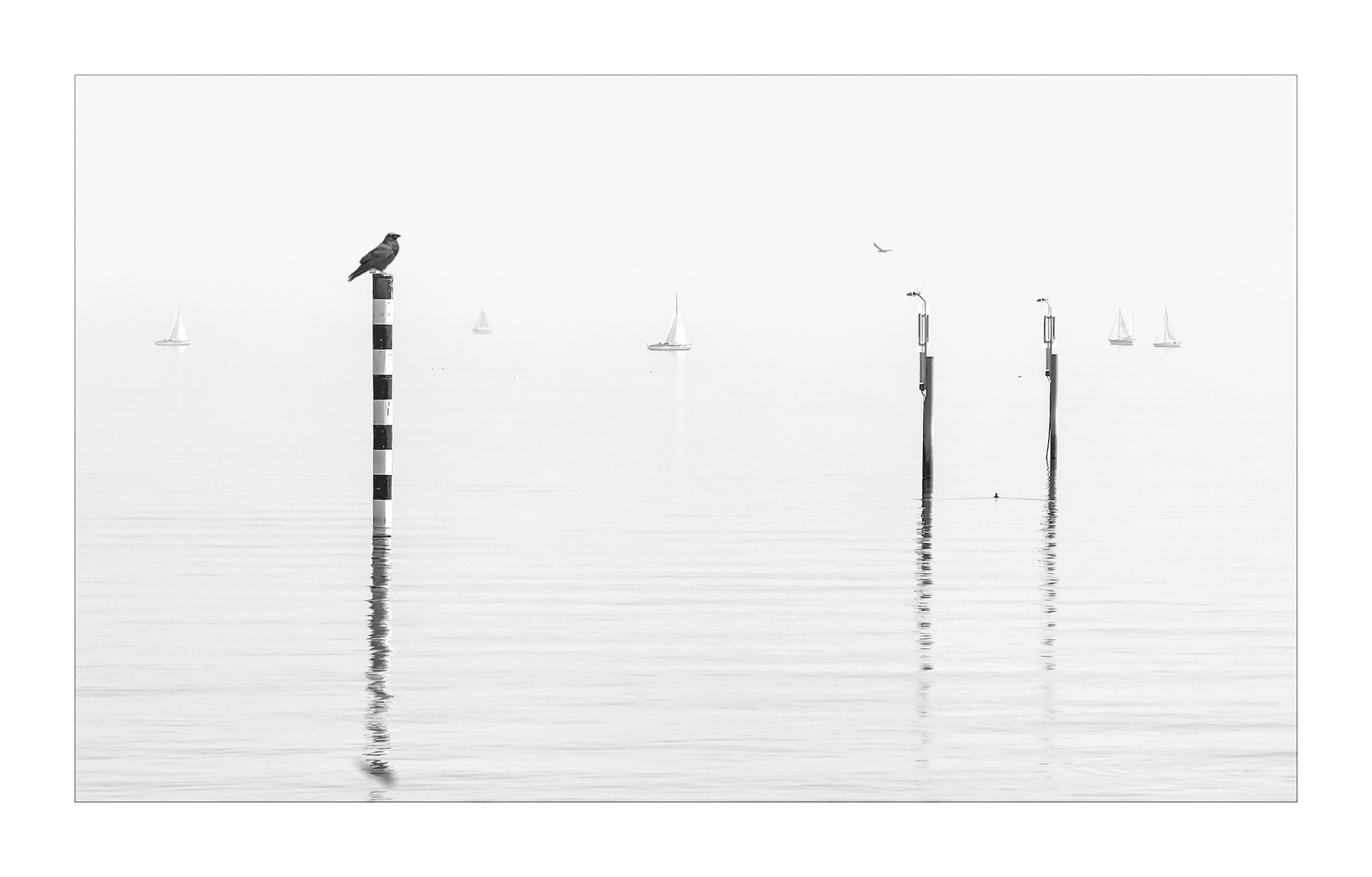 a foggy morning in Konstanz