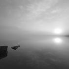 A foggy morning on South Island